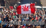 加拿大大麻合法化 留学生防毒防害须知