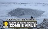 科学家复活永久冻土中冷冻 4.8万年“僵尸”病毒