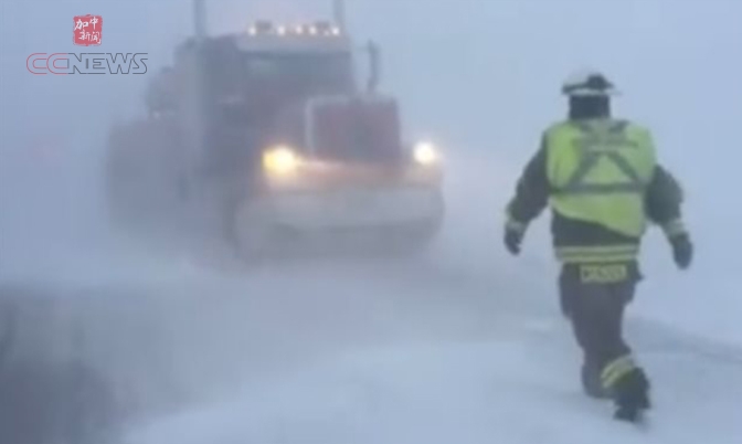 无司机货柜车适合加拿大严冬气候？