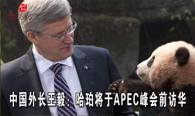 中国外长王毅：哈珀将于APEC峰会前访华