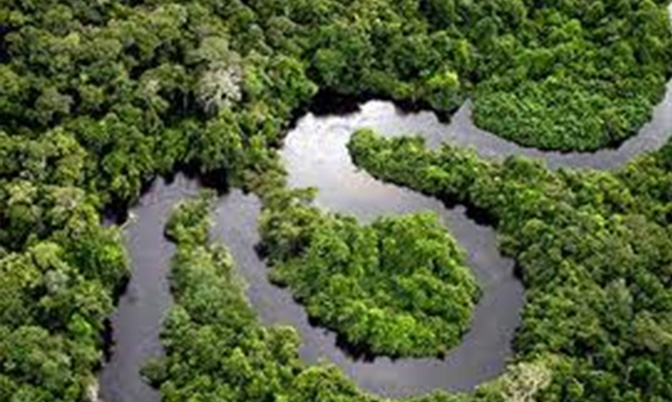 独行南美：走进亚马逊丛林