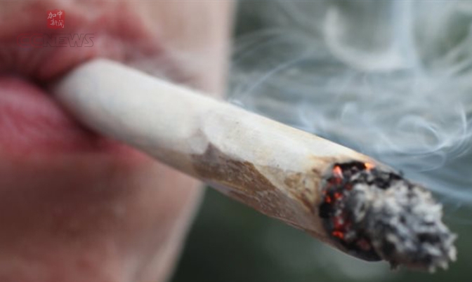 明年国庆节加拿大人可以抽大麻了