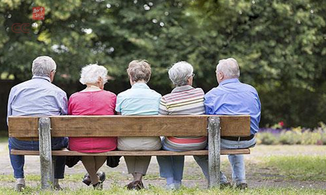 在加拿大退休 养老保险能领多少